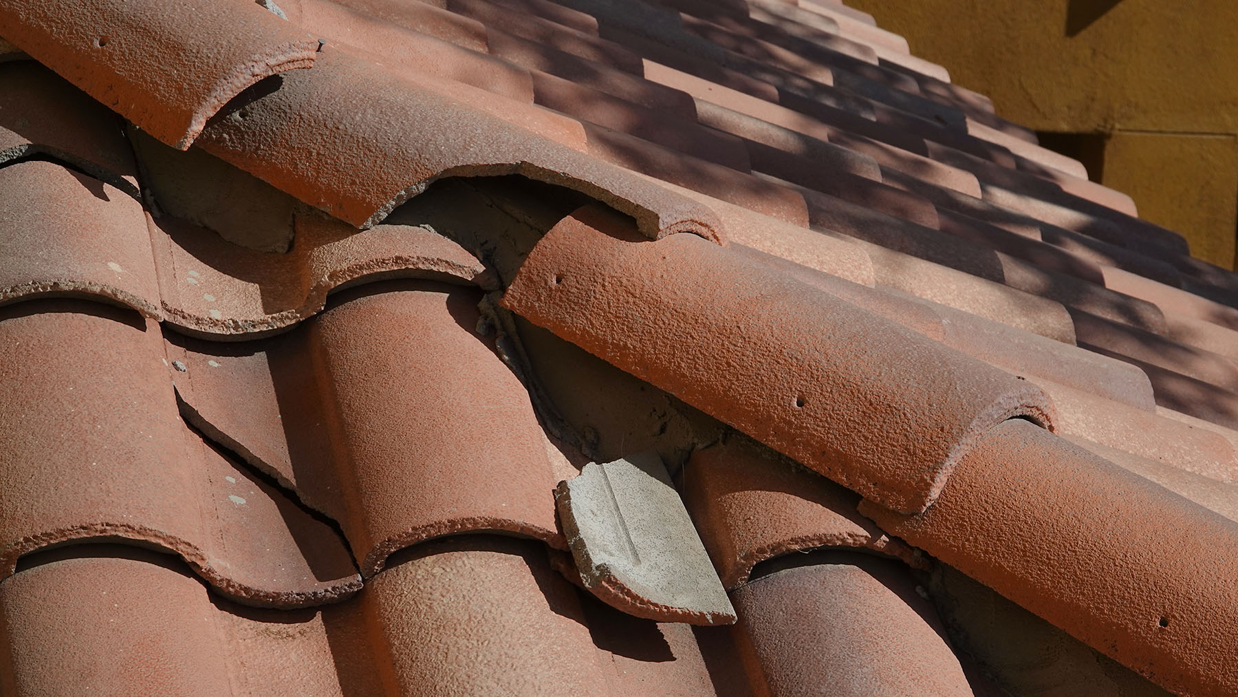 How Much Does Roof Repair Cost in Southwest Florida